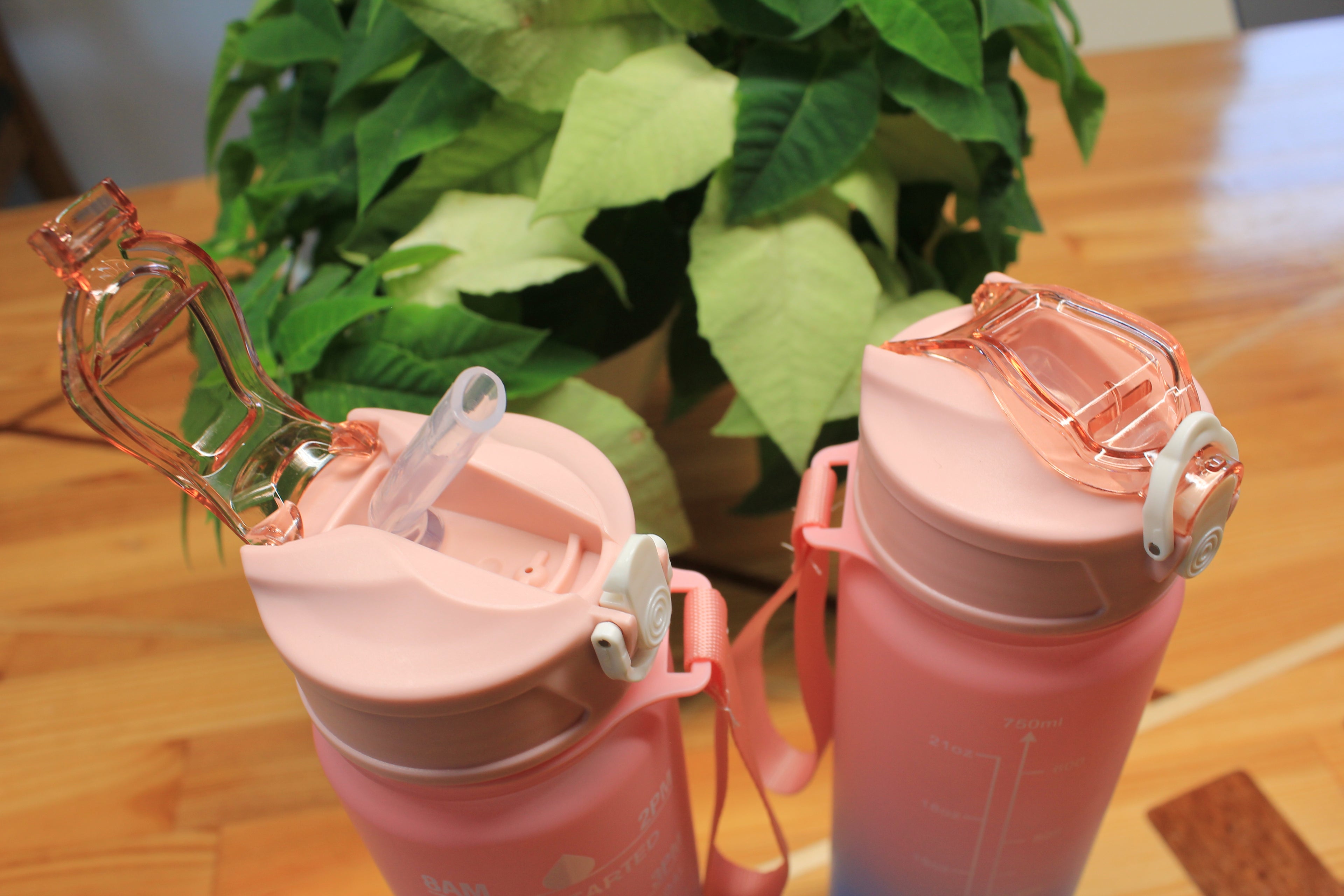 Roosa-sinine joogipudel, 750 ml