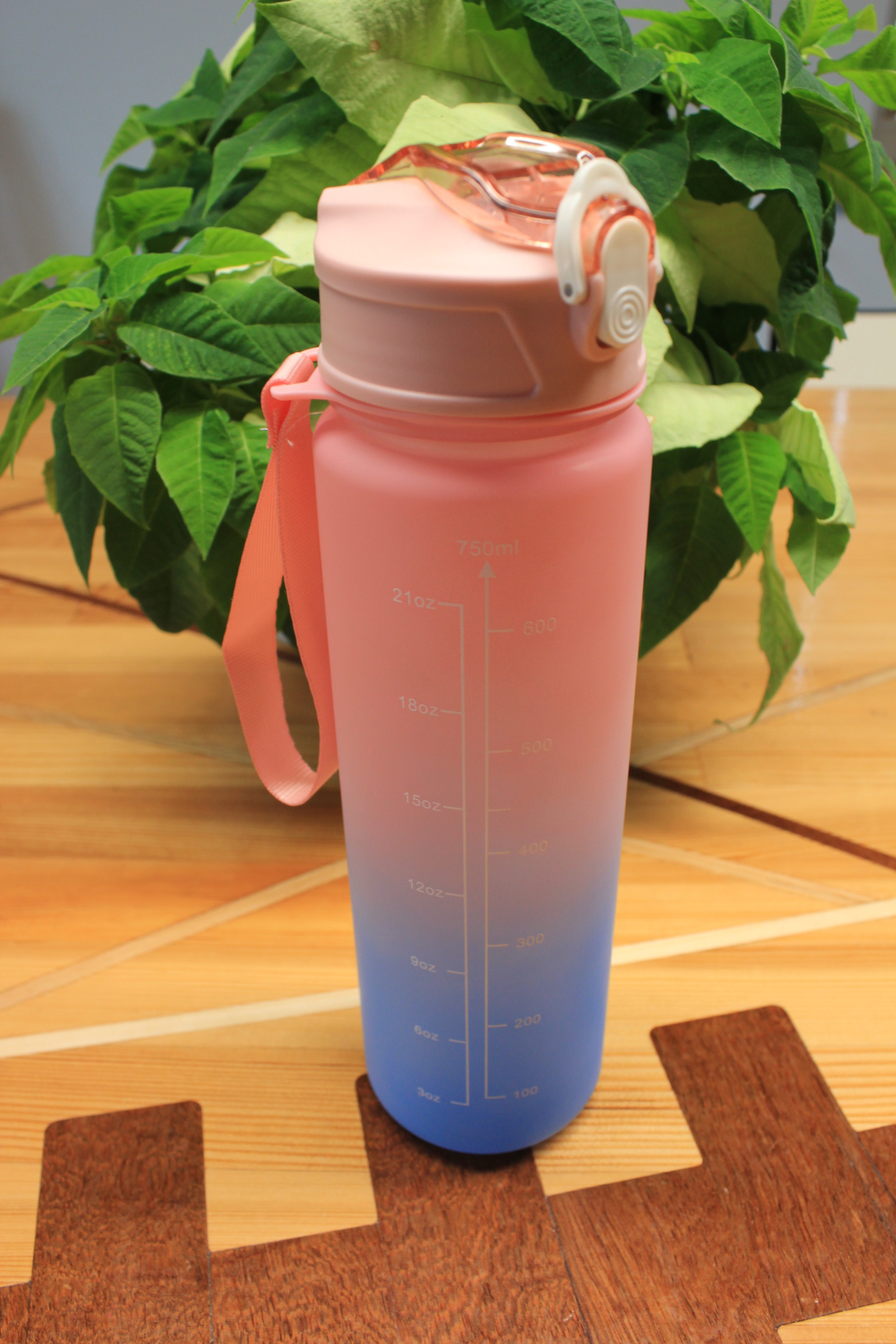 Roosa-sinine joogipudel, 750 ml