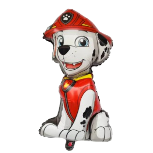 Õhupallid Paw Patroli tegelastega