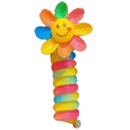 Spiraalsed kaunistused hobusesabale, 2 tk (lill/liblikas)